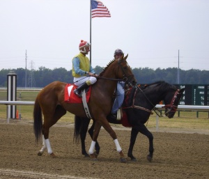 Michigan-Bred Hot Chili (with T.D. Houghton aboard) was considered part of the field in the initial 2008 Derby Future Wager Pool. Though his time on the Derby trail was brief, a fellow field horse, Big Brown more than picked up the slack.