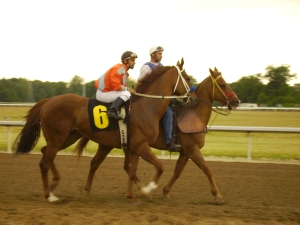 Michigan's defending champion older male, Meadow Vespers, will try for a second straight stakes victory in Saturday's Frontier Handicap at Pinnacle Race Course.